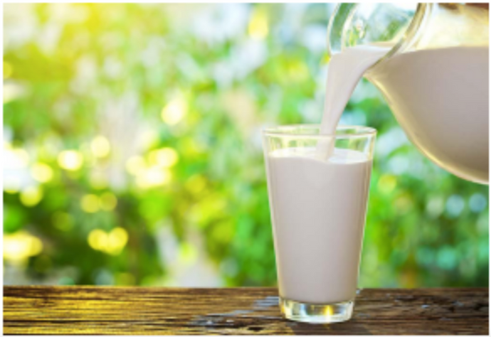 How Could Drinking Milk Benefit Your Health?