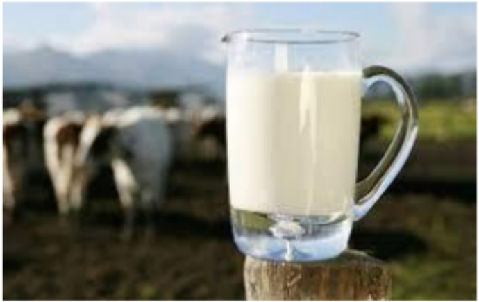 Local Milk Is Udderly Great- Here’s Why